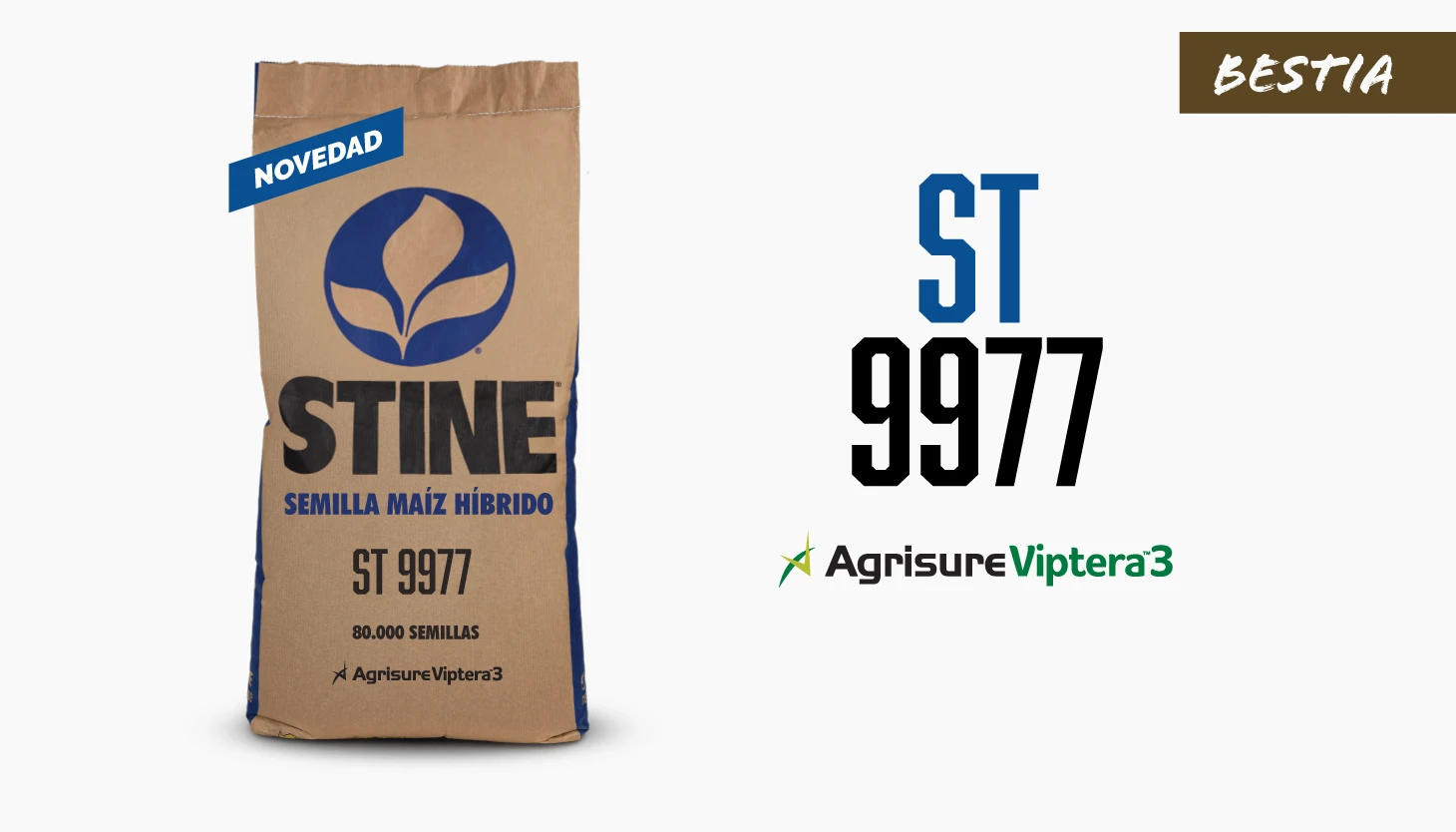 STN_WEB_Mapas_Maíz_V1_ST-9977