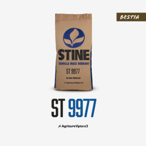 ST 9977 | "La Bestia"